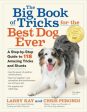 Big Book of Tricks for the Best Dog Ever Online Hot Sale